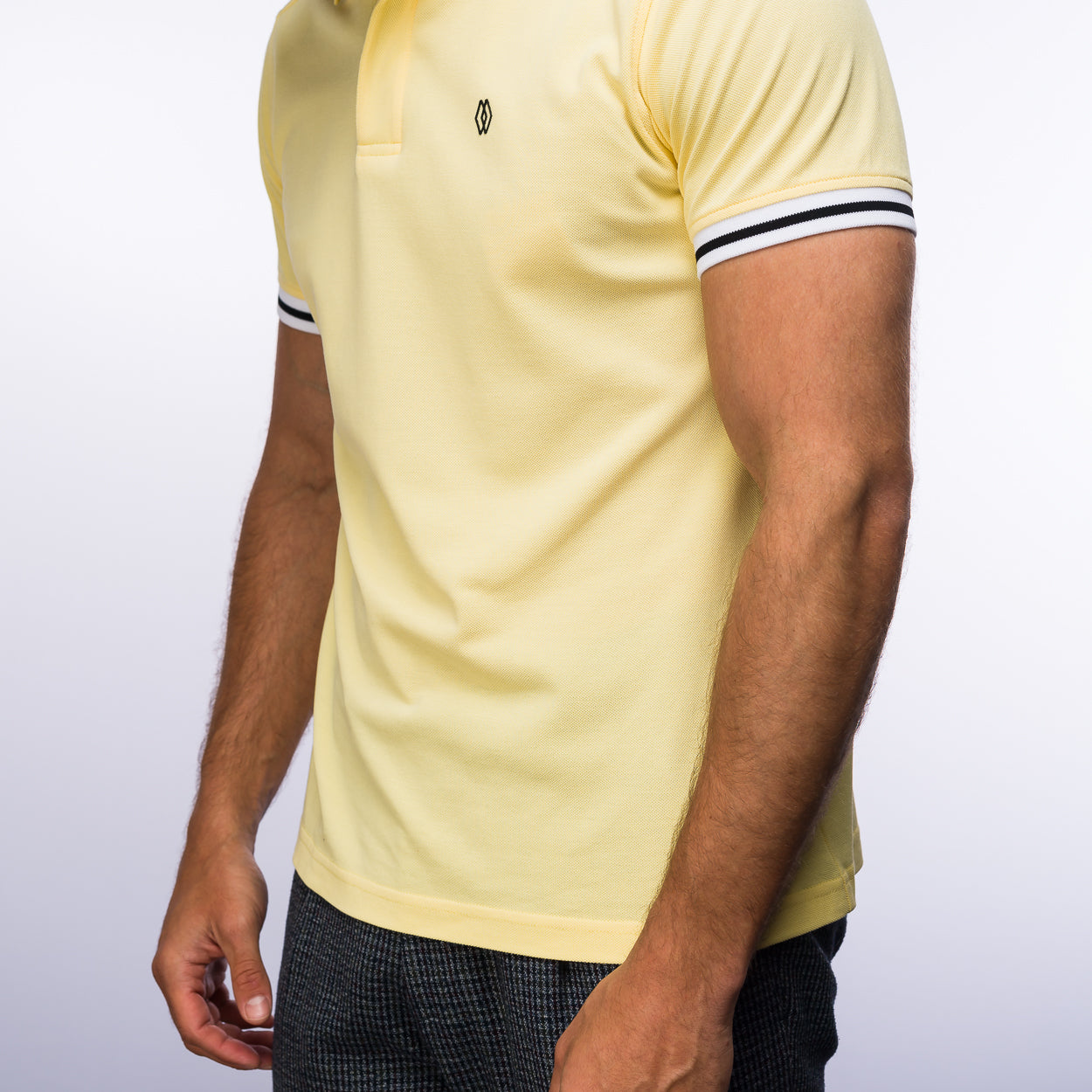 The Polo Classic Stripes